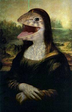 The Mona lizard