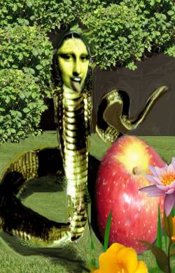 mona snake in the garden