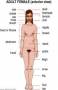 Female body (Mona body)